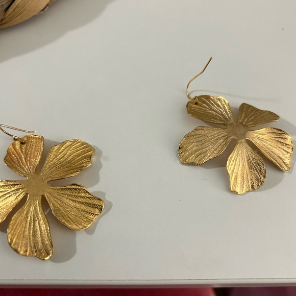 Anthro earnings - Picture 2 of 3